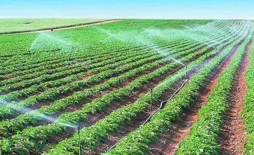鸡把肏骚屄免费农田高 效节水灌溉